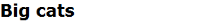 Big cats