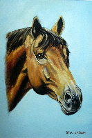 Horses head
