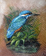 Kingfisher